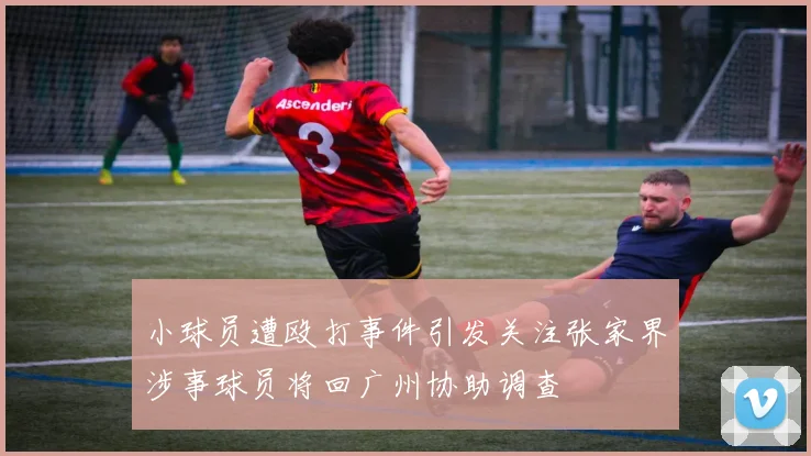 小球员遭殴打事件引发关注张家界涉事球员将回广州协助调查
